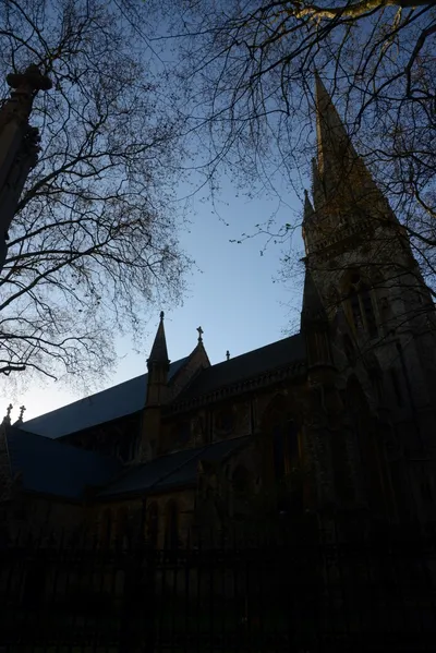 DSC_7158 (Large).JPG